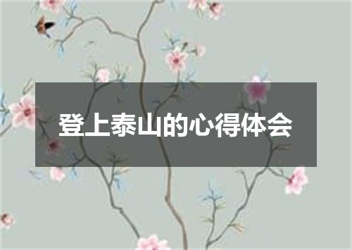 登上泰山的心得体会