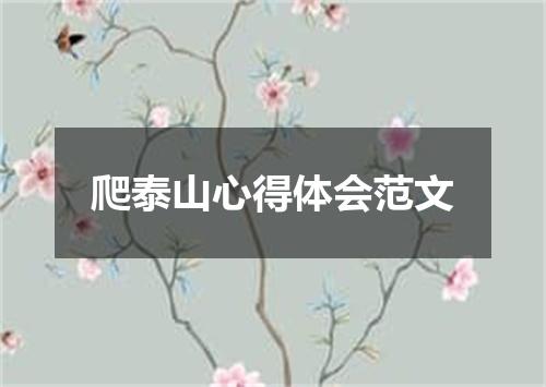 爬泰山心得体会范文