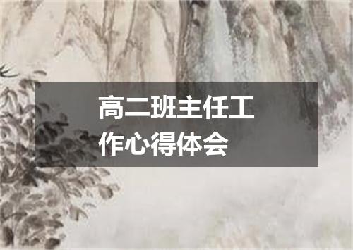 高二班主任工作心得体会
