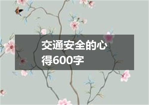 交通安全的心得600字