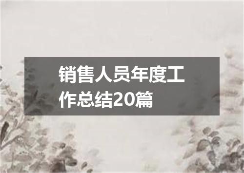 销售人员年度工作总结20篇
