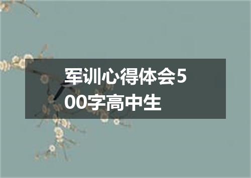 军训心得体会500字高中生