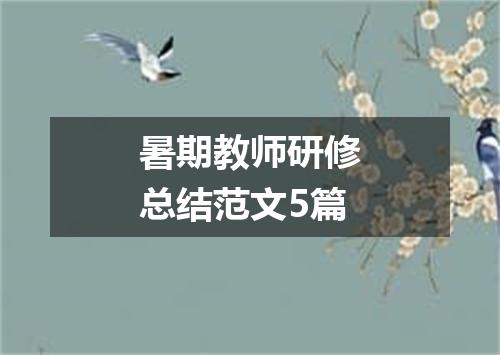 暑期教师研修总结范文5篇