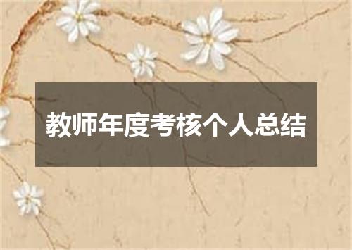 教师年度考核个人总结