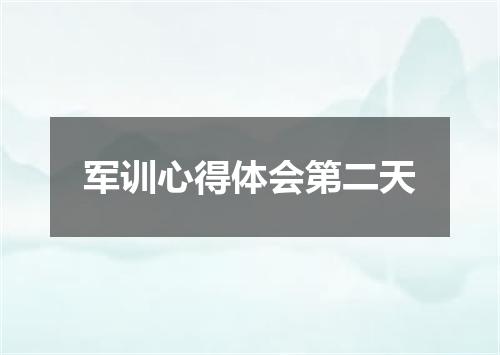 军训心得体会第二天