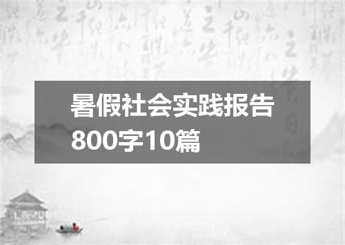 暑假社会实践报告800字10篇