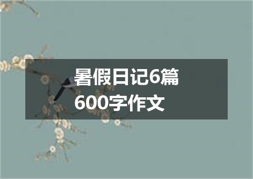 暑假日记6篇600字作文