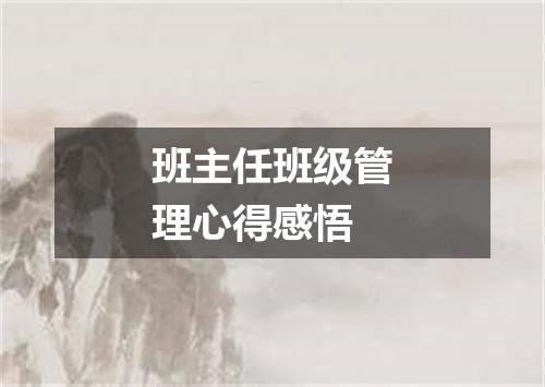 班主任班级管理心得感悟