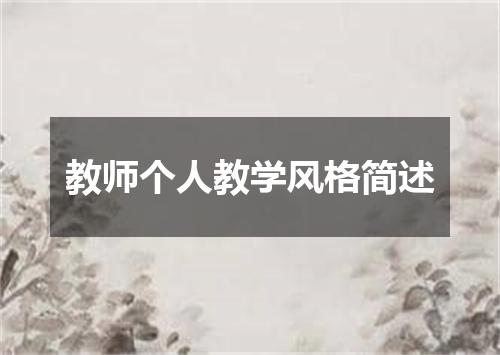 教师个人教学风格简述