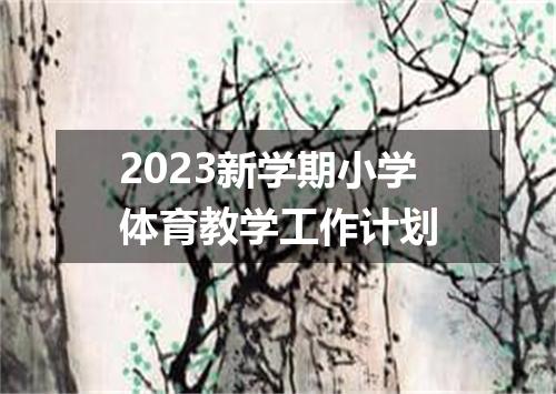 2023新学期小学体育教学工作计划