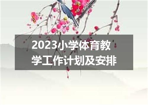2023小学体育教学工作计划及安排