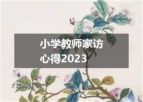 小学教师家访心得2023