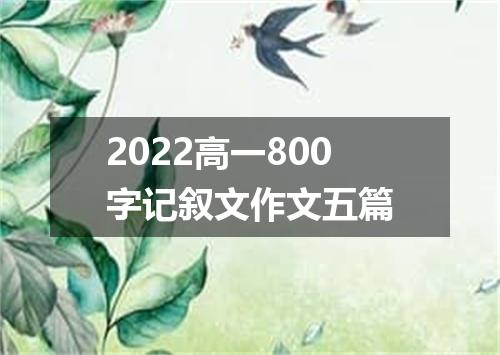 2022高一800字记叙文作文五篇