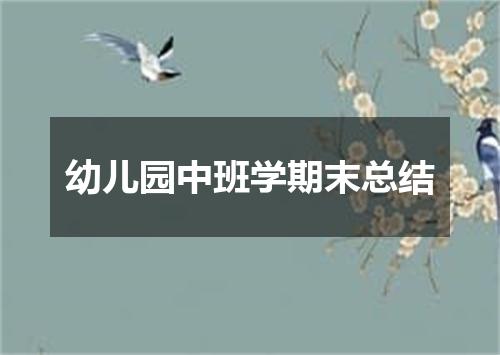 幼儿园中班学期末总结