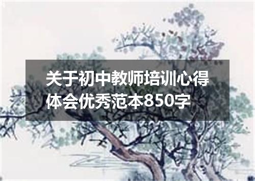 关于初中教师培训心得体会优秀范本850字