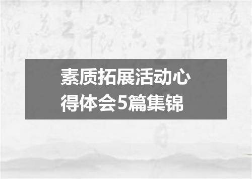 素质拓展活动心得体会5篇集锦