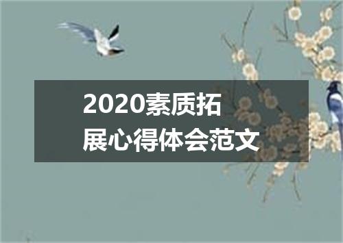2020素质拓展心得体会范文
