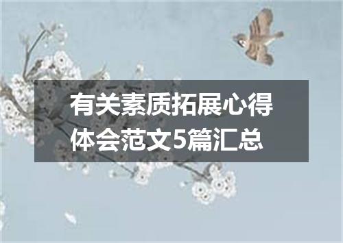 有关素质拓展心得体会范文5篇汇总