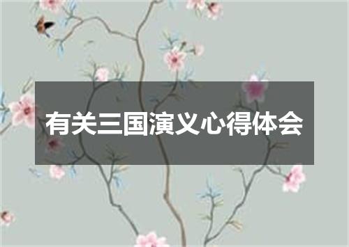 有关三国演义心得体会