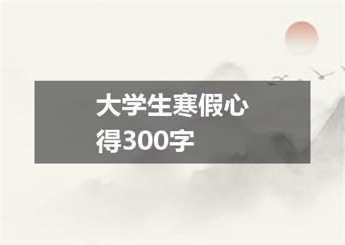 大学生寒假心得300字