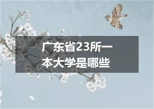 广东省23所一本大学是哪些
