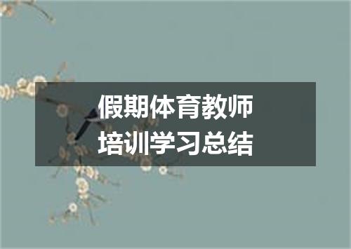 假期体育教师培训学习总结