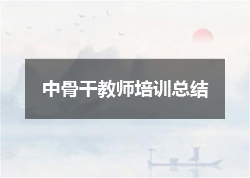 中骨干教师培训总结