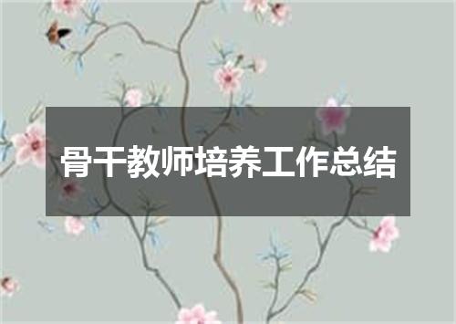 骨干教师培养工作总结