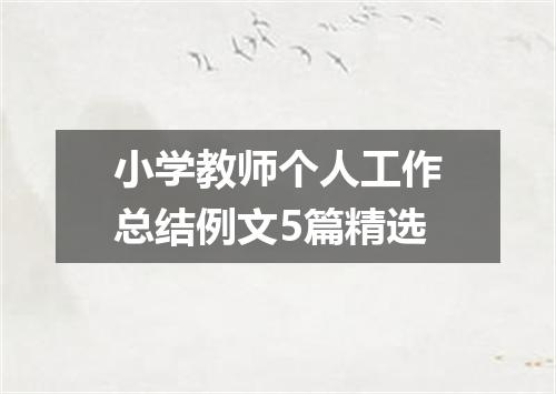小学教师个人工作总结例文5篇精选