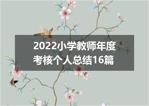 2022小学教师年度考核个人总结16篇