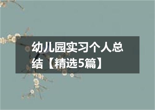幼儿园实习个人总结【精选5篇】
