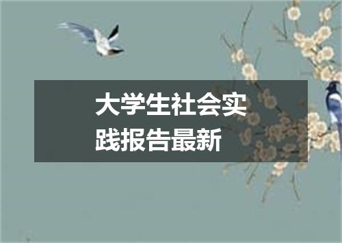 大学生社会实践报告最新