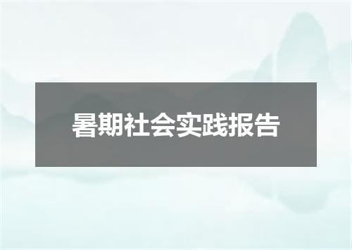 暑期社会实践报告