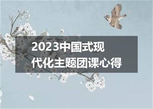 2023中国式现代化主题团课心得