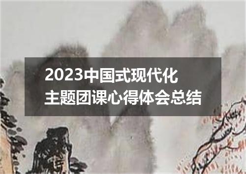 2023中国式现代化主题团课心得体会总结