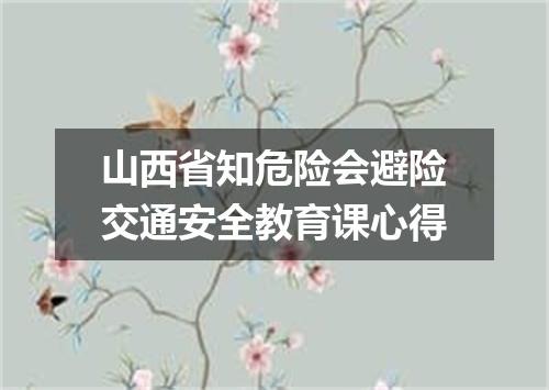 山西省知危险会避险交通安全教育课心得