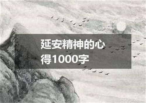 延安精神的心得1000字