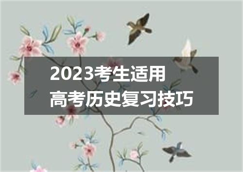 2023考生适用高考历史复习技巧