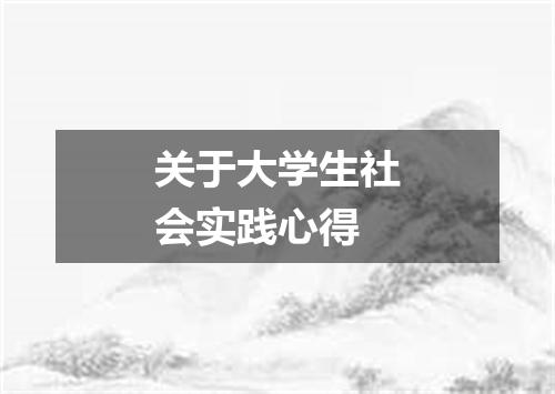 关于大学生社会实践心得