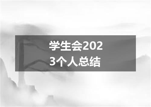 学生会2023个人总结