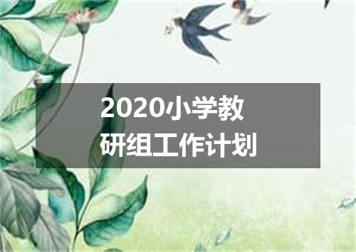 2020小学教研组工作计划