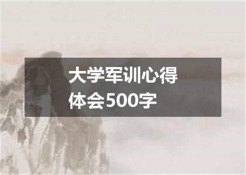 大学军训心得体会500字