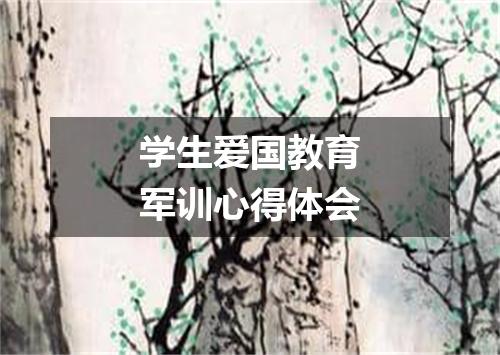 学生爱国教育军训心得体会