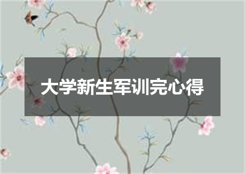 大学新生军训完心得