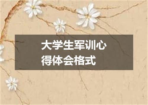 大学生军训心得体会格式