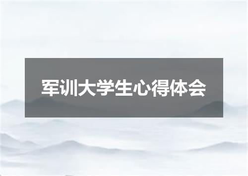 军训大学生心得体会