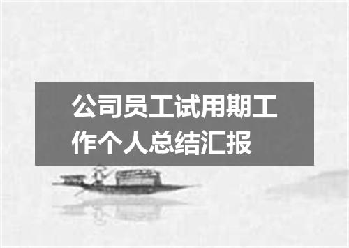 公司员工试用期工作个人总结汇报