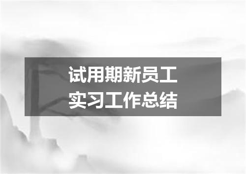 试用期新员工实习工作总结