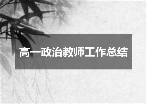 高一政治教师工作总结