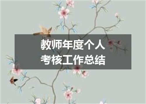教师年度个人考核工作总结